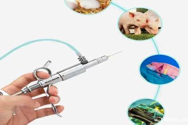 鲁尔圆锥接头测试仪、注射器测试仪兽用注射器自检飞检好帮手？